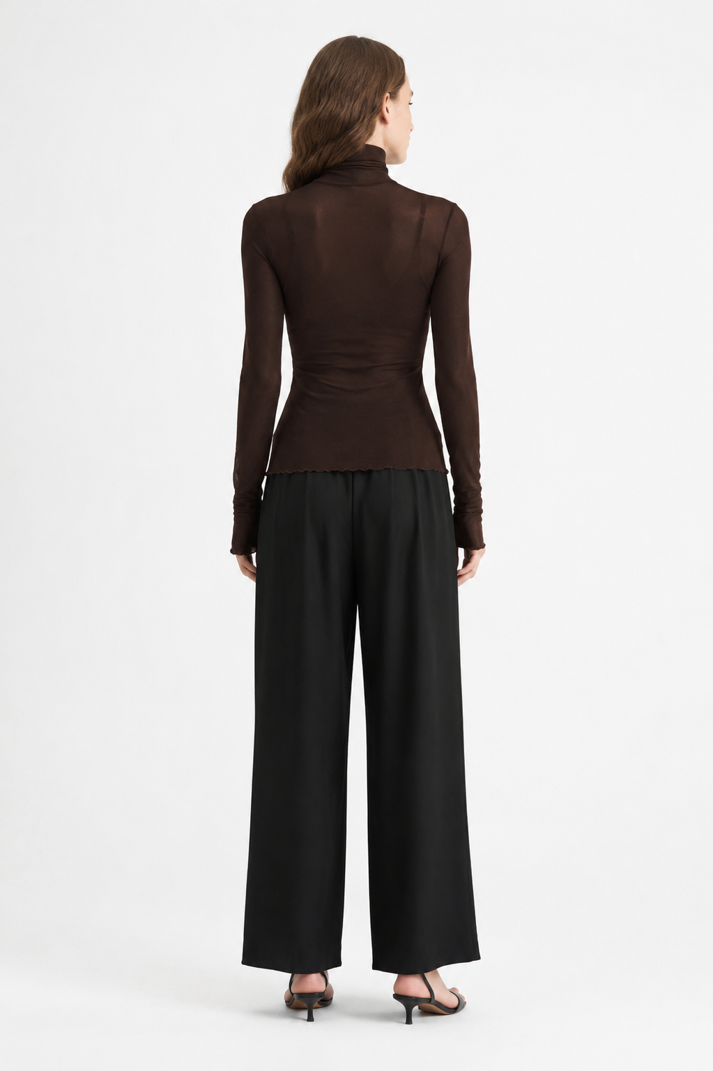 Aerin Sheer Mock Neck Top back view
